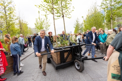 Bosk, Leeuwarden
