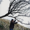 Gregor Božič, Giuseppe in hruška spina, Italija, 2019