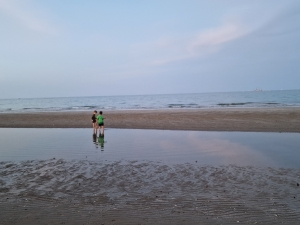 Rimini 2026, Open call for three artistic directors