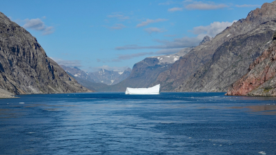 Iceberg