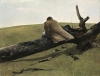 ndrew Wyeth, Vento d’aprile, 1952. Hartford, Wadsworth Atheneum Museum of Art